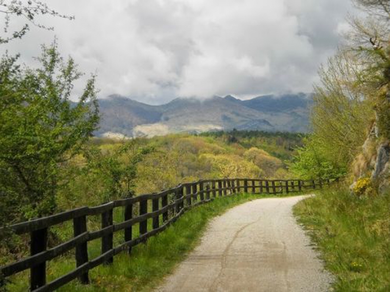 casa-rural-labetxea-baraibar-aralar-navarra-La vía.JPG