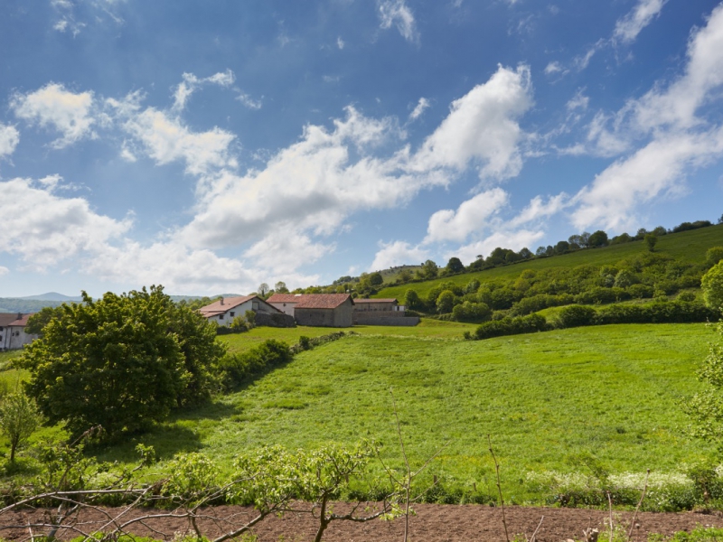 casa-rural-labetxea-baraibar-aralar-navarra-_PU_1433.jpg